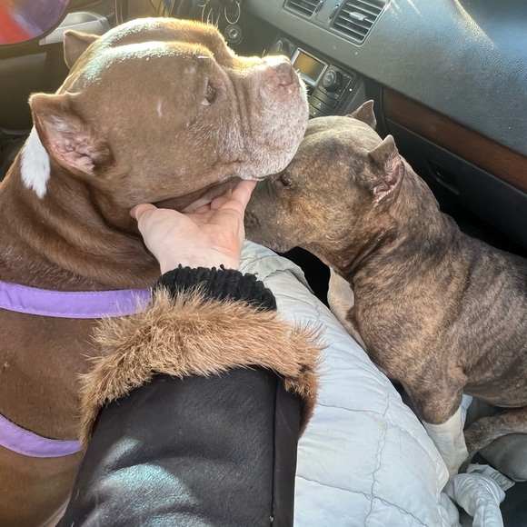 Meet your Posher, Catherine - Picture 9 of 9